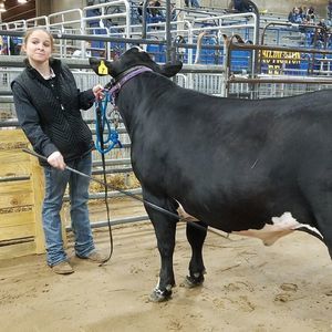 Meet your Posher, Brandy